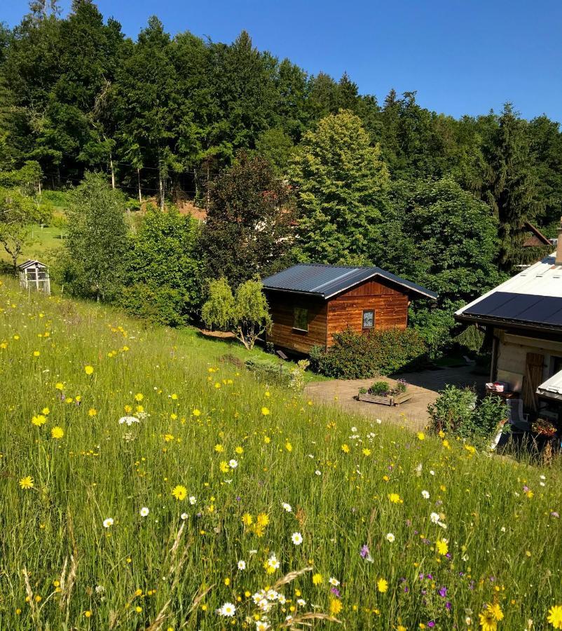 Gite Le Mazot De Vouan Saint-Andre-de-Boege エクステリア 写真